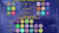 February 26, 2025 Wednesday Megalotto 6/45 & Grandlotto 6/55 Winning Numbers
